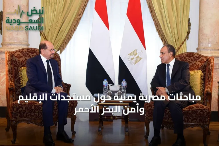 مباحثات مصرية يمنية حول مستجدات الإقليم وأمن البحر الأحمر