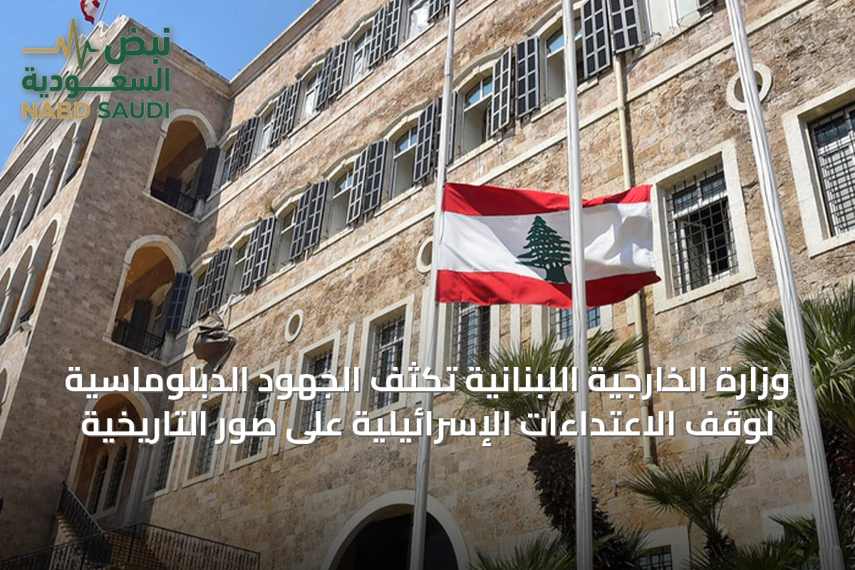 وزارة الخارجية اللبنانية تكثف الجهود الدبلوماسية لوقف الاعتداءات الإسرائيلية على صور التاريخية