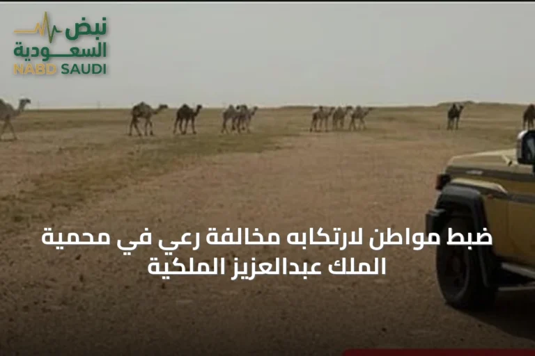 ضبط مواطن لارتكابه مخالفة رعي في محمية الملك عبدالعزيز الملكية