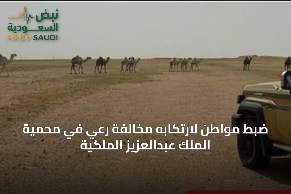 ضبط مواطن لارتكابه مخالفة رعي في محمية الملك عبدالعزيز الملكية