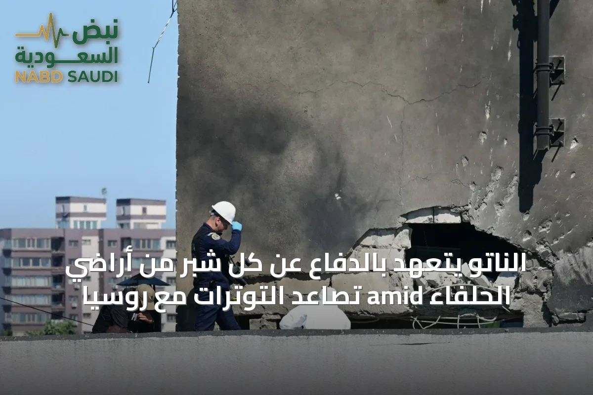 الناتو يتعهد بالدفاع عن كل شبر من أراضي الحلفاء amid تصاعد التوترات مع روسيا