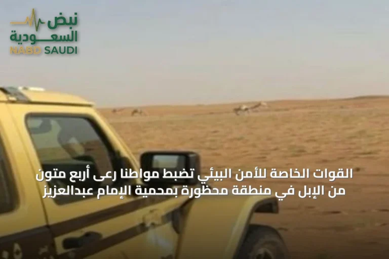 القوات الخاصة للأمن البيئي تضبط مواطنًا رعى أربع متون من الإبل في منطقة محظورة بمحمية الإمام عبدالعزيز