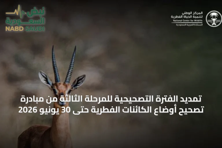 تمديد الفترة التصحيحية للمرحلة الثالثة من مبادرة تصحيح أوضاع الكائنات الفطرية حتى 30 يونيو 2026