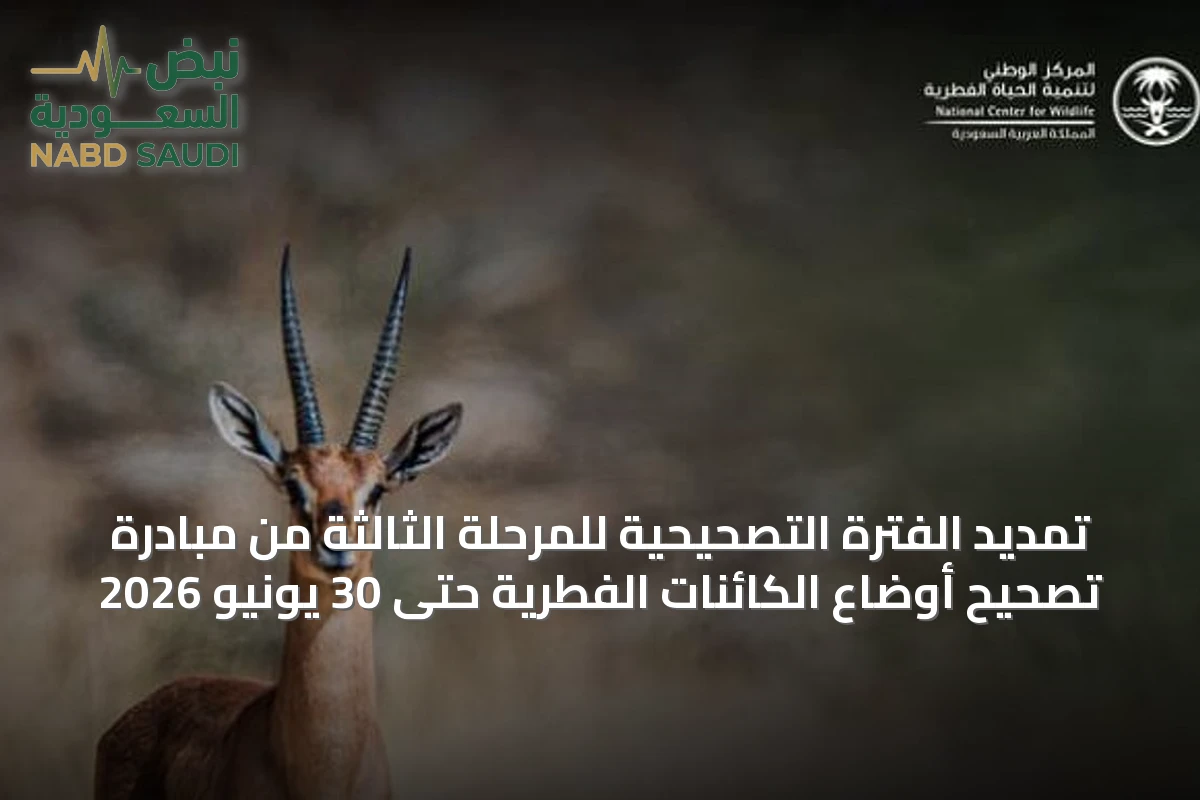 تمديد الفترة التصحيحية للمرحلة الثالثة من مبادرة تصحيح أوضاع الكائنات الفطرية حتى 30 يونيو 2026