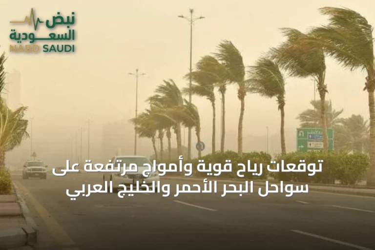 توقعات رياح قوية وأمواج مرتفعة على سواحل البحر الأحمر والخليج العربي