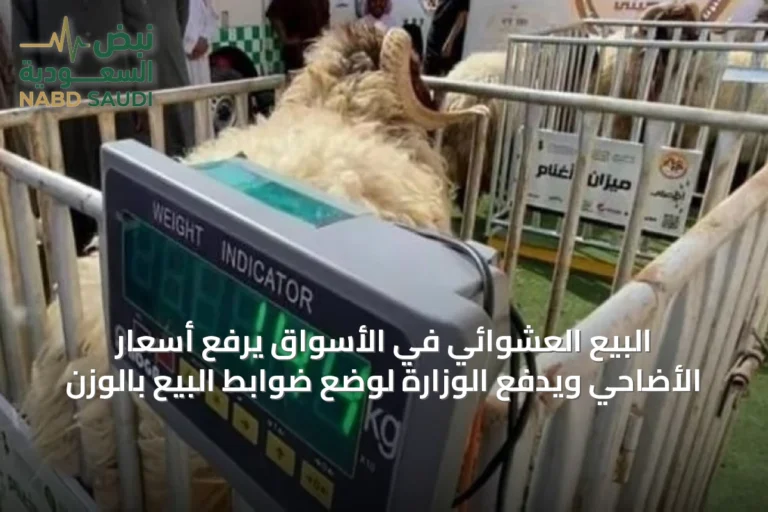 البيع العشوائي في الأسواق يرفع أسعار الأضاحي ويدفع الوزارة لوضع ضوابط البيع بالوزن