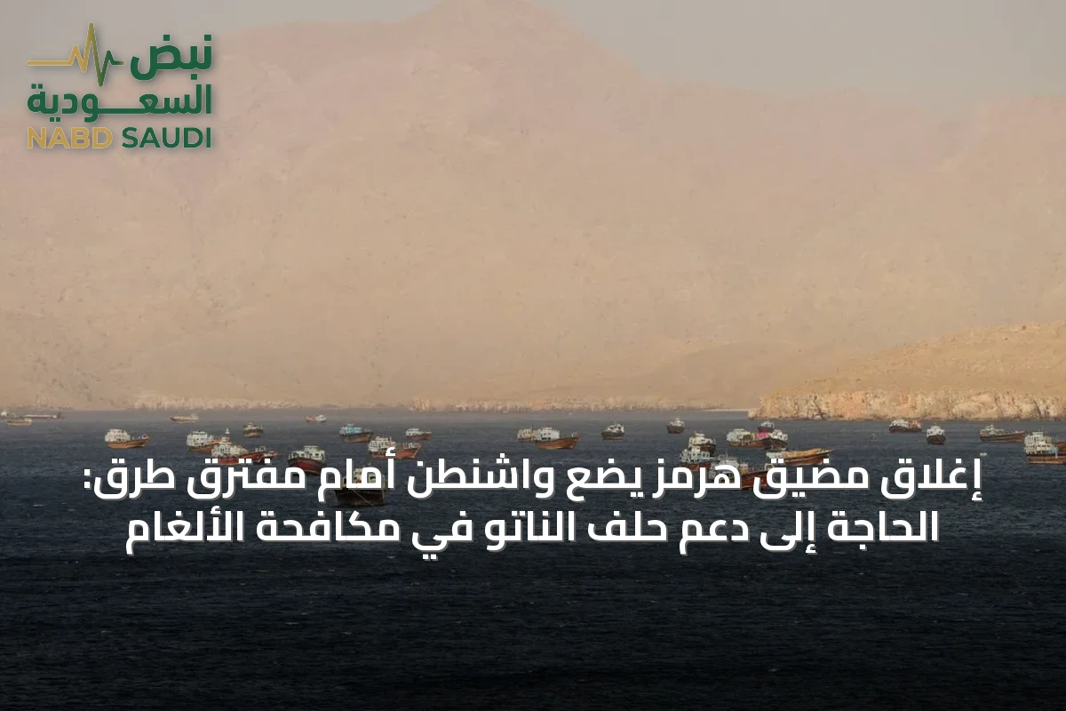 إغلاق مضيق هرمز يضع واشنطن أمام مفترق طرق: الحاجة إلى دعم حلف الناتو في مكافحة الألغام