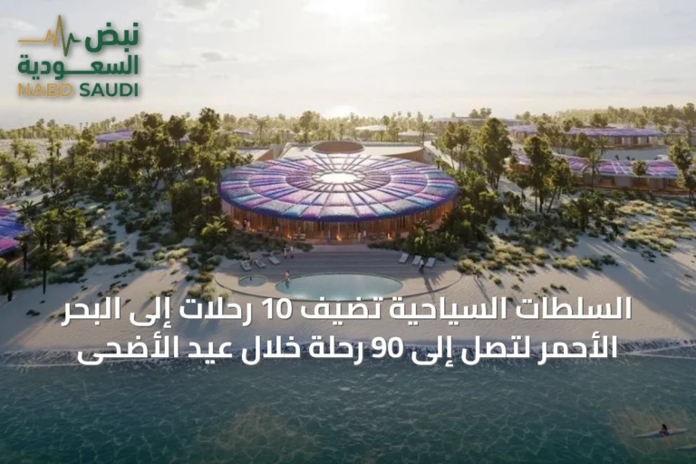 السلطات السياحية تُضيف 10 رحلات إلى البحر الأحمر لتصل إلى 90 رحلة خلال عيد الأضحى