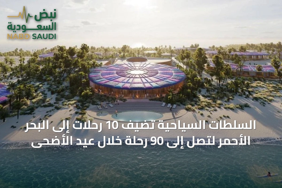السلطات السياحية تُضيف 10 رحلات إلى البحر الأحمر لتصل إلى 90 رحلة خلال عيد الأضحى