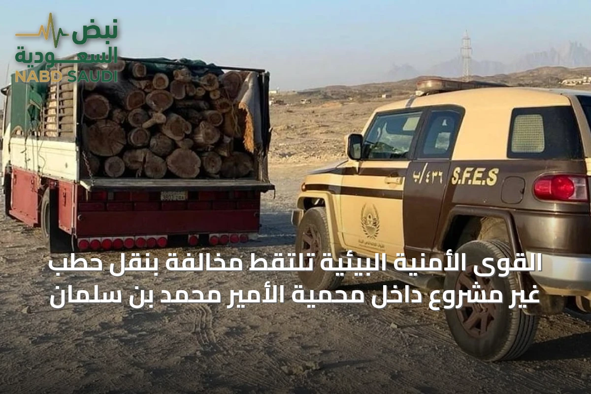 القوى الأمنية البيئية تلتقط مخالفة بنقل حطب غير مشروع داخل محمية الأمير محمد بن سلمان