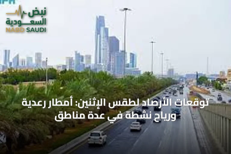 توقعات الأرصاد لطقس الإثنين: أمطار رعدية ورياح نشطة في عدة مناطق
