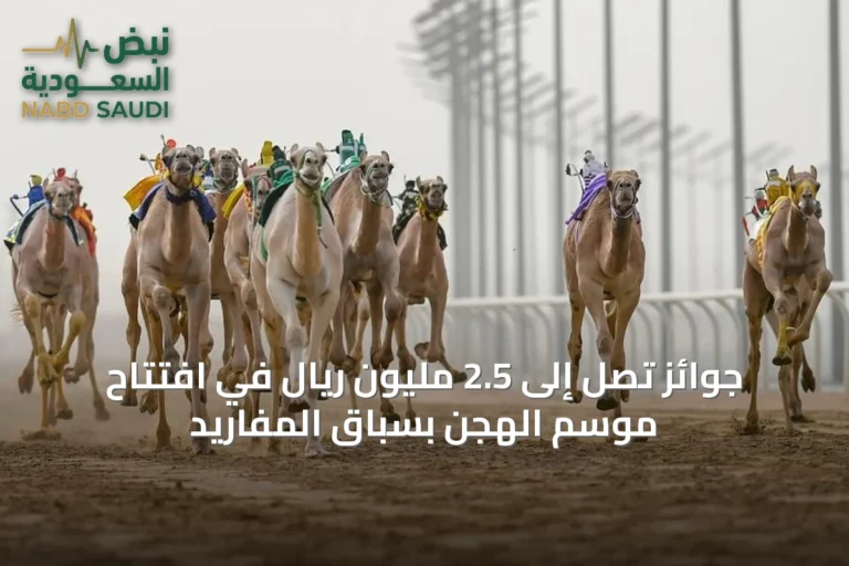 جوائز تصل إلى 2.5 مليون ريال في افتتاح موسم الهجن بسباق المفاريد