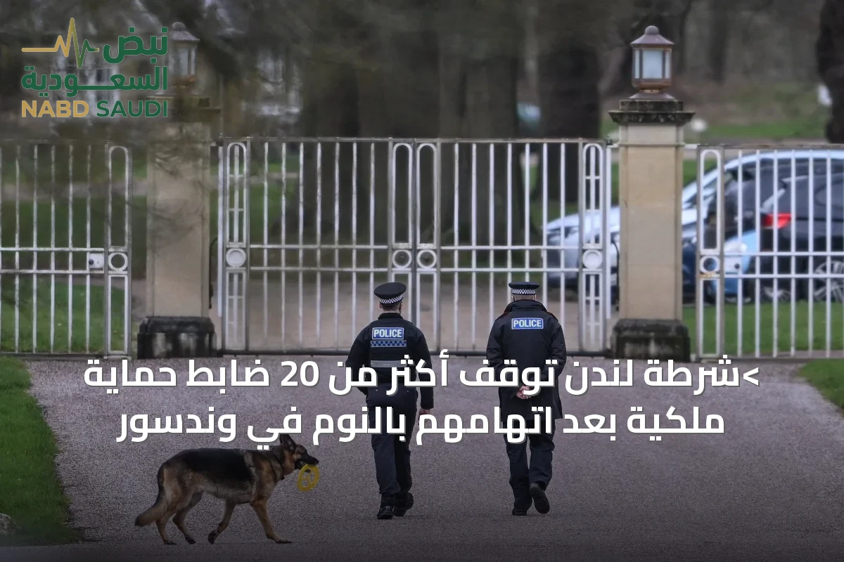 >شرطة لندن توقف أكثر من 20 ضابط حماية ملكية بعد اتهامهم بالنوم في وندسور
