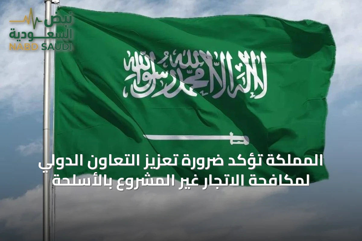 المملكة تؤكد ضرورة تعزيز التعاون الدولي لمكافحة الاتجار غير المشروع بالأسلحة