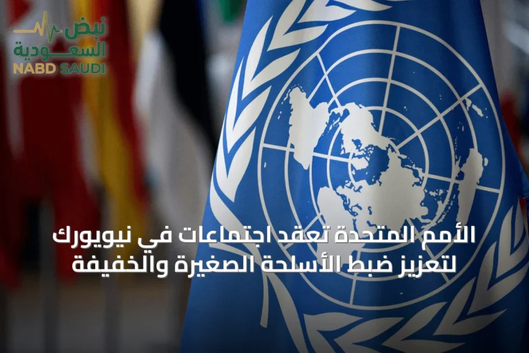 الأمم المتحدة تعقد اجتماعات في نيويورك لتعزيز ضبط الأسلحة الصغيرة والخفيفة