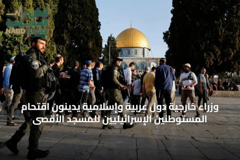 وزراء خارجية دول عربية وإسلامية يدينون اقتحام المستوطنين الإسرائيليين للمسجد الأقصى