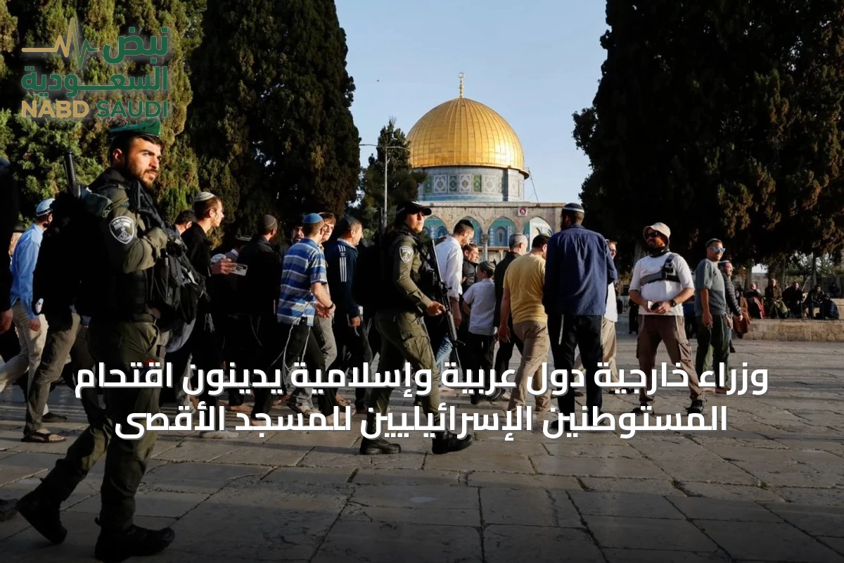 وزراء خارجية دول عربية وإسلامية يدينون اقتحام المستوطنين الإسرائيليين للمسجد الأقصى