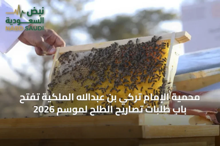 محمية الإمام تركي بن عبدالله الملكية تفتح باب طلبات تصاريح الطلح لموسم 2026