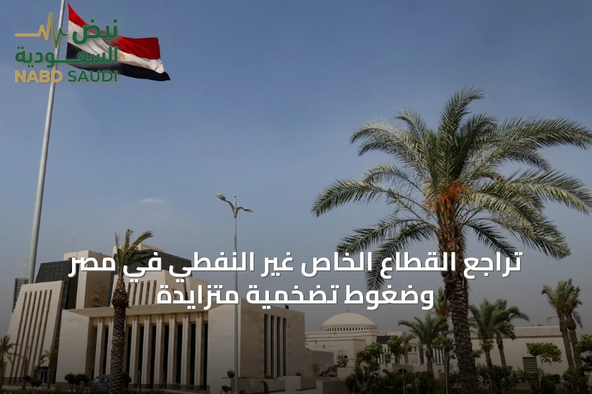 تراجع القطاع الخاص غير النفطي في مصر وضغوط تضخمية متزايدة