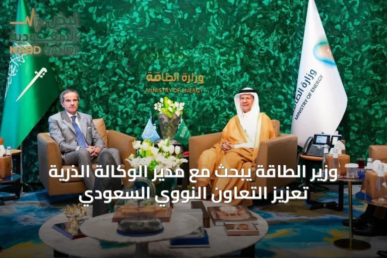وزير الطاقة يبحث مع مدير الوكالة الذرية تعزيز التعاون النووي السعودي