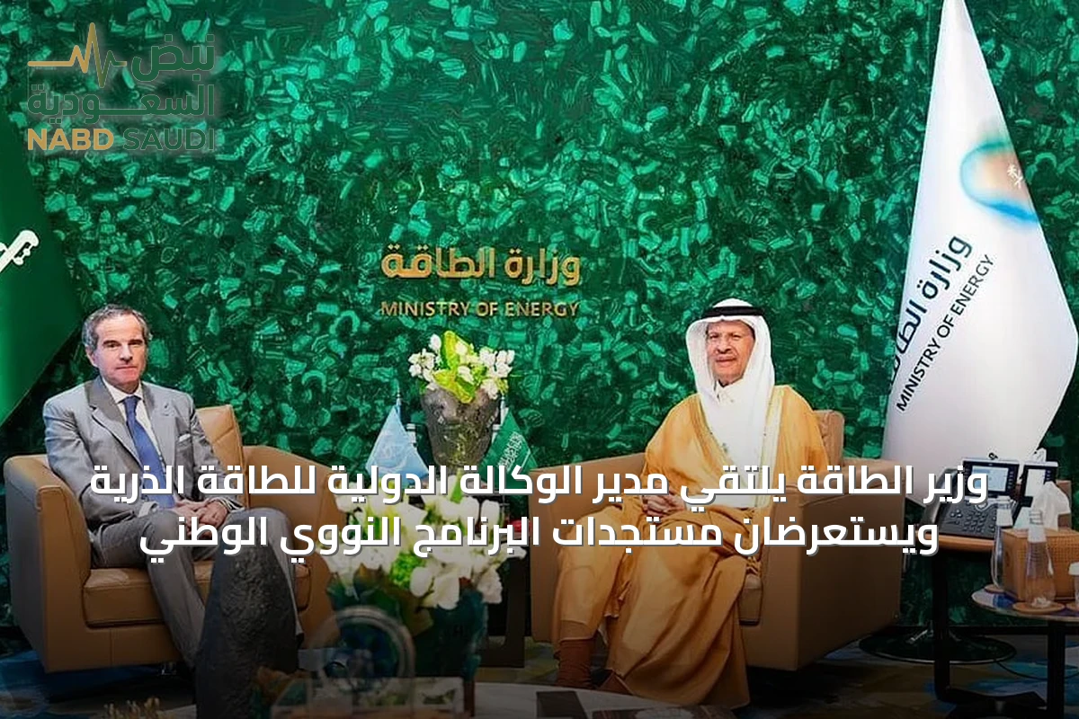 وزير الطاقة يلتقي مدير الوكالة الدولية للطاقة الذرية ويستعرضان مستجدات البرنامج النووي الوطني