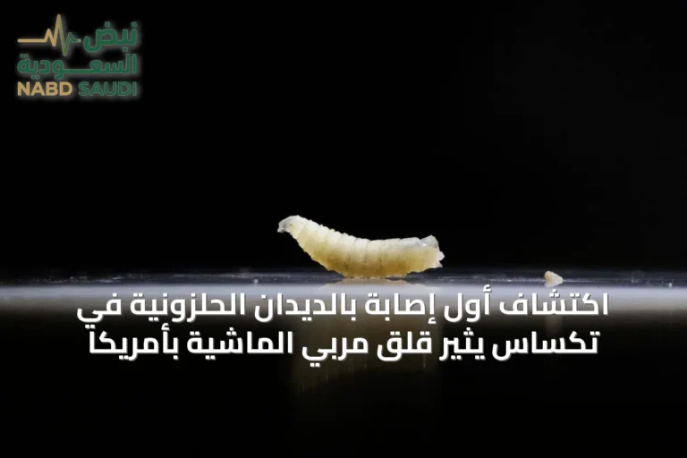 اكتشاف أول إصابة بالديدان الحلزونية في تكساس يثير قلق مربي الماشية بأمريكا