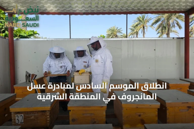 انطلاق الموسم السادس لمبادرة عسل المانجروف في المنطقة الشرقية