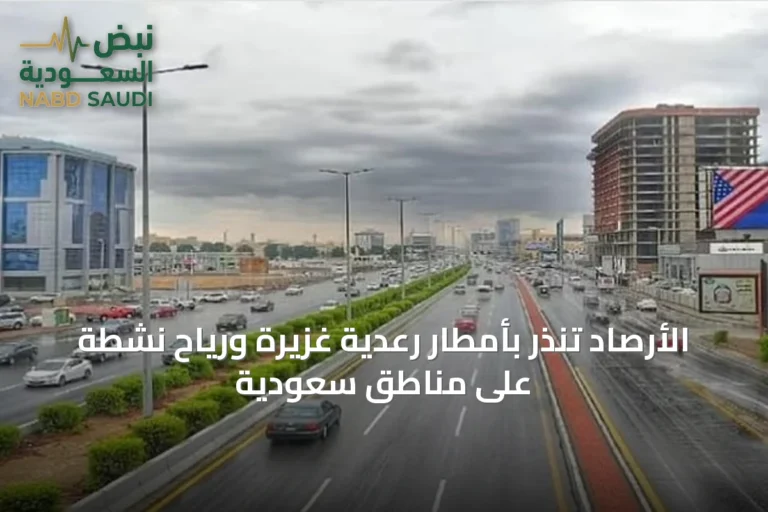 الأرصاد تنذر بأمطار رعدية غزيرة ورياح نشطة على مناطق سعودية