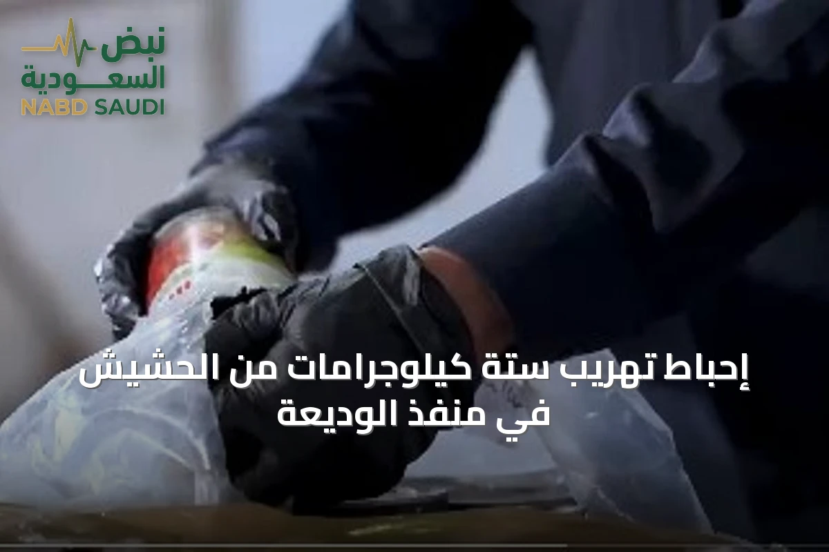 إحباط تهريب ستة كيلوجرامات من الحشيش في منفذ الوديعة