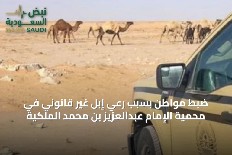 ضبط مواطن بسبب رعي إبل غير قانوني في محمية الإمام عبدالعزيز بن محمد الملكية