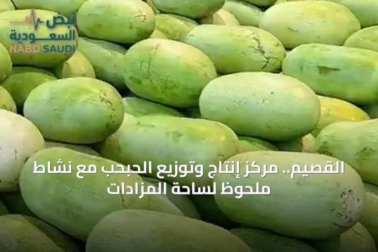 القصيم.. مركز إنتاج وتوزيع الحبحب مع نشاط ملحوظ لساحة المزادات