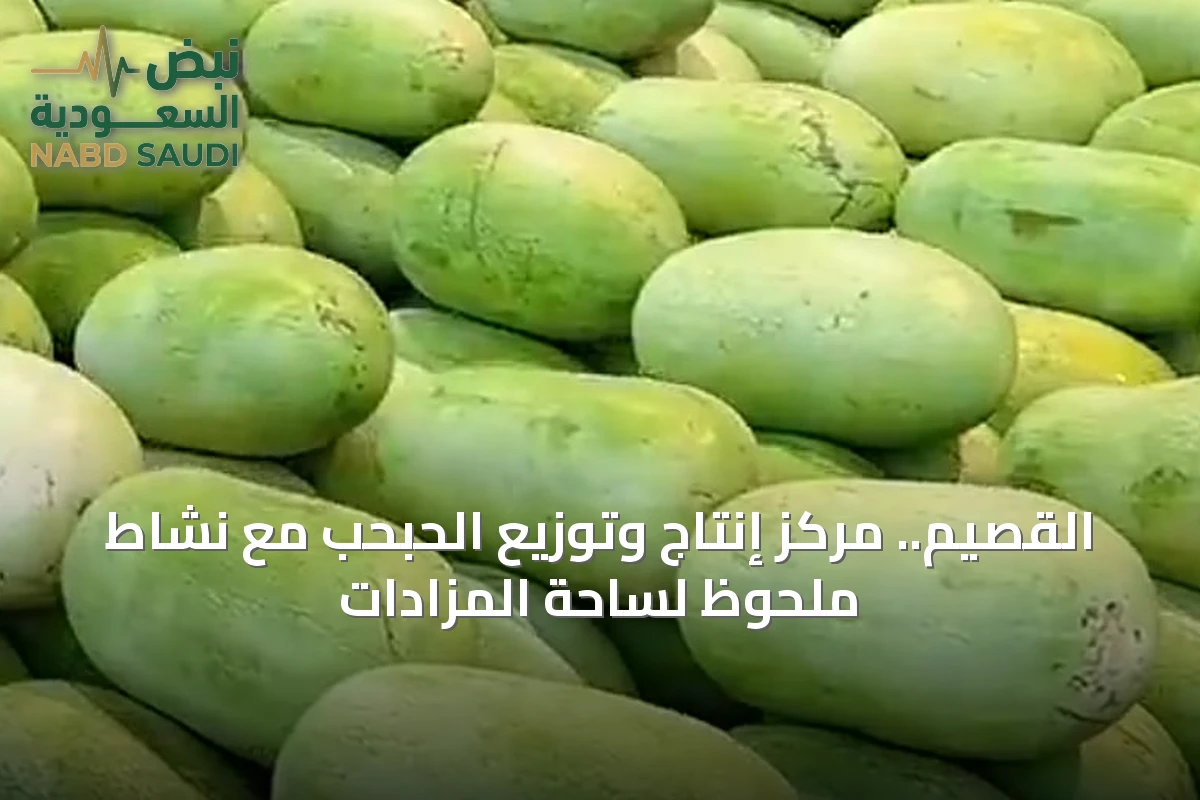 القصيم.. مركز إنتاج وتوزيع الحبحب مع نشاط ملحوظ لساحة المزادات