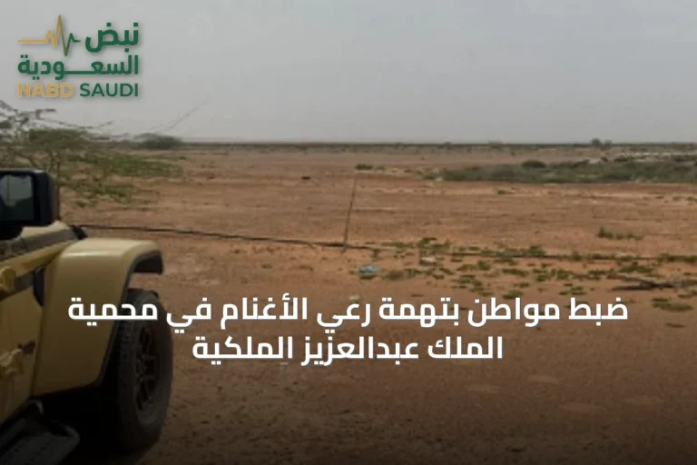 ضبط مواطن بتهمة رعي الأغنام في محمية الملك عبدالعزيز الملكية