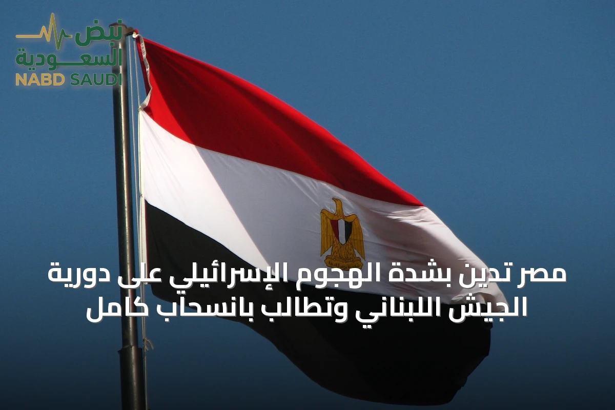 مصر تدين بشدة الهجوم الإسرائيلي على دورية الجيش اللبناني وتطالب بانسحاب كامل