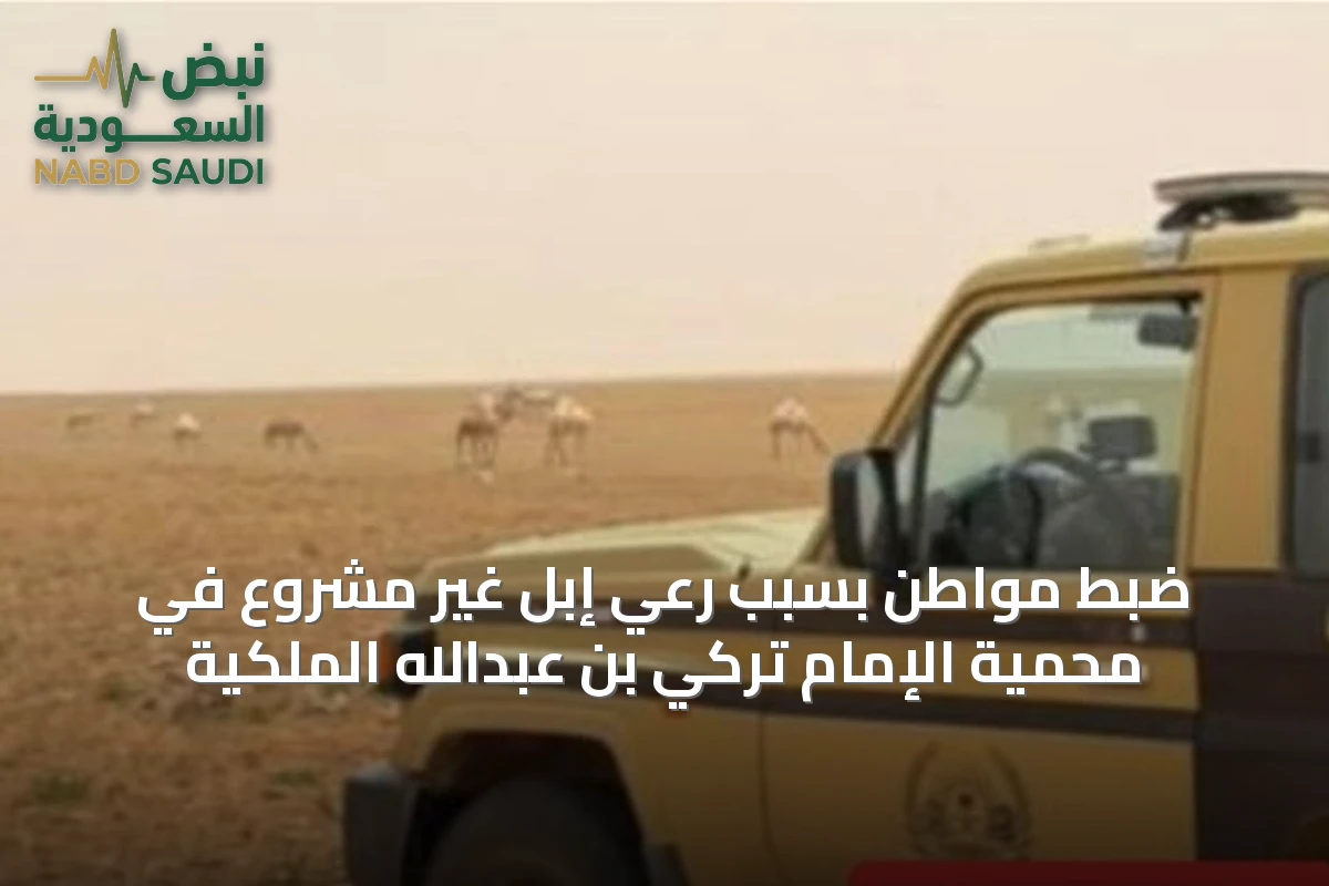 ضبط مواطن بسبب رعي إبل غير مشروع في محمية الإمام تركي بن عبدالله الملكية