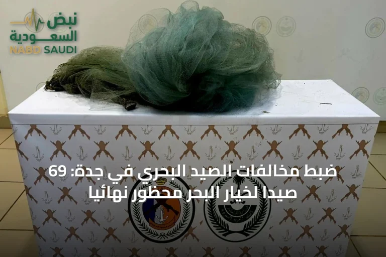 ضبط مخالفات الصيد البحري في جدة: 69 صيدًا لخيار البحر محظور نهائيًا