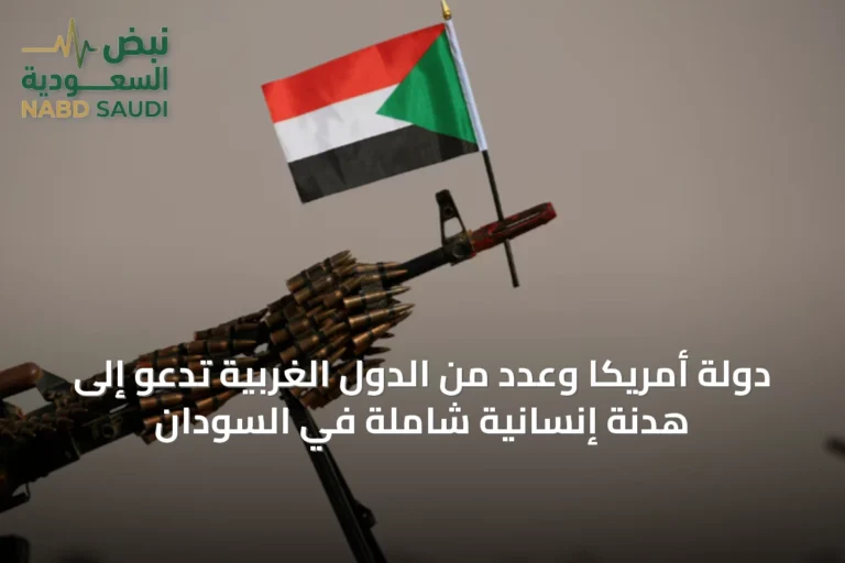 دولة أمريكا وعدد من الدول الغربية تدعو إلى هدنة إنسانية شاملة في السودان
