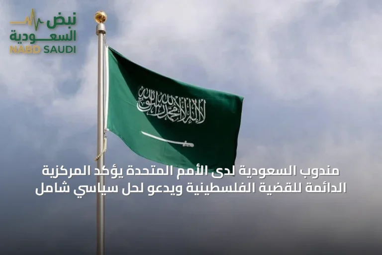 مندوب السعودية لدى الأمم المتحدة يؤكد المركزية الدائمة للقضية الفلسطينية ويدعو لحل سياسي شامل