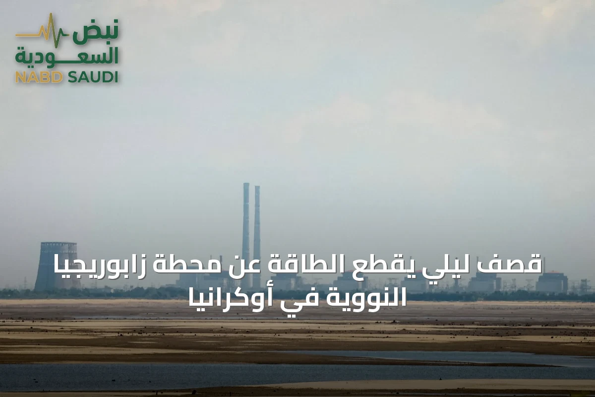 قصف ليلي يقطع الطاقة عن محطة زابوريجيا النووية في أوكرانيا