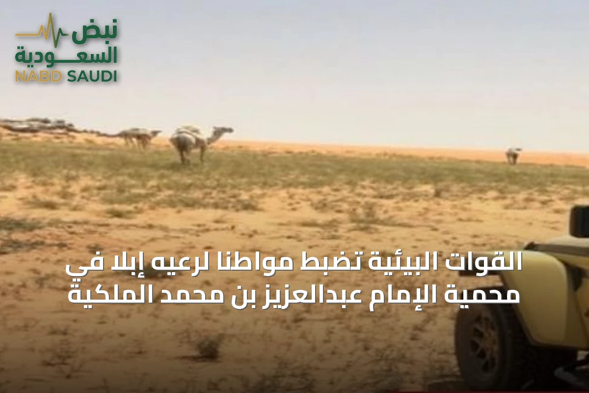 القوات البيئية تضبط مواطناً لرعيه إبلاً في محمية الإمام عبدالعزيز بن محمد الملكية