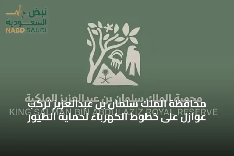 محافظة الملك سلمان بن عبدالعزيز تُركّب عوازل على خطوط الكهرباء لحماية الطيور