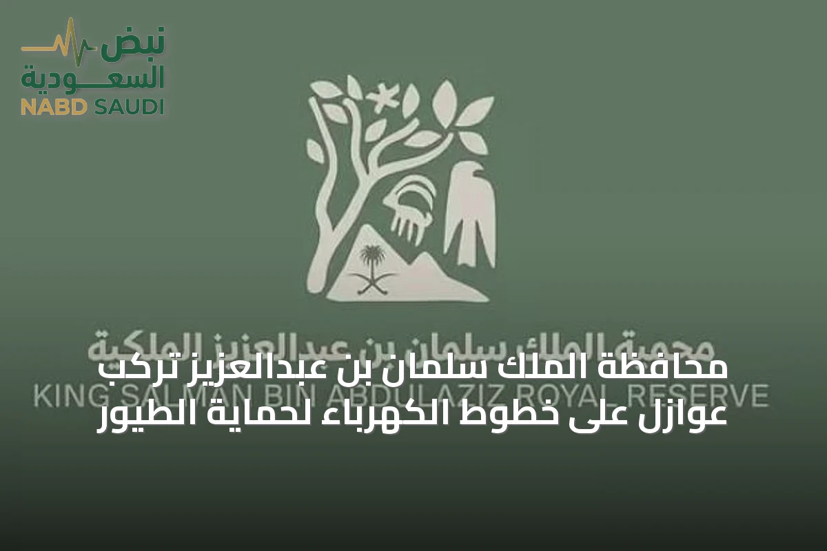 محافظة الملك سلمان بن عبدالعزيز تُركّب عوازل على خطوط الكهرباء لحماية الطيور