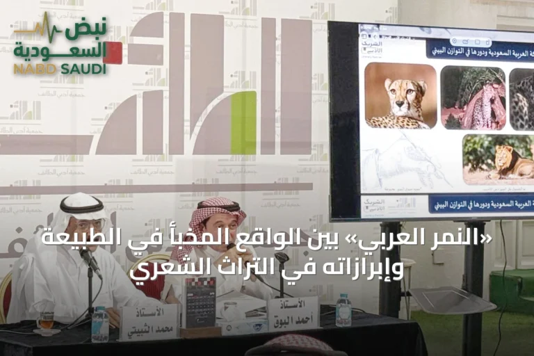 «النمر العربي» بين الواقع المخبّأ في الطبيعة وإبرازاته في التراث الشعري