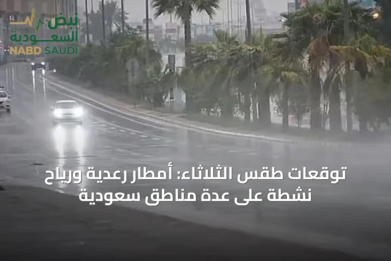 توقعات طقس الثلاثاء: أمطار رعدية ورياح نشطة على عدة مناطق سعودية