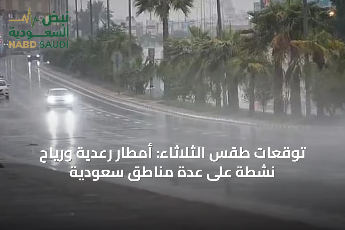 توقعات طقس الثلاثاء: أمطار رعدية ورياح نشطة على عدة مناطق سعودية