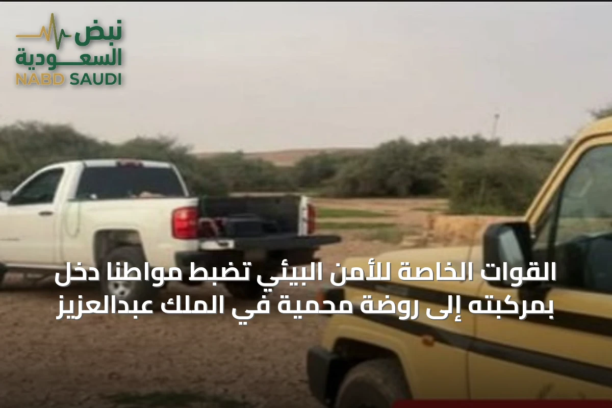 القوات الخاصة للأمن البيئي تضبط مواطنًا دخل بمركبته إلى روضة محمية في الملك عبدالعزيز