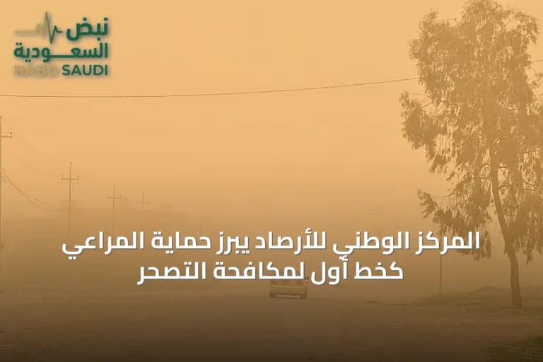 المركز الوطني للأرصاد يبرز حماية المراعي كخط أول لمكافحة التصحر