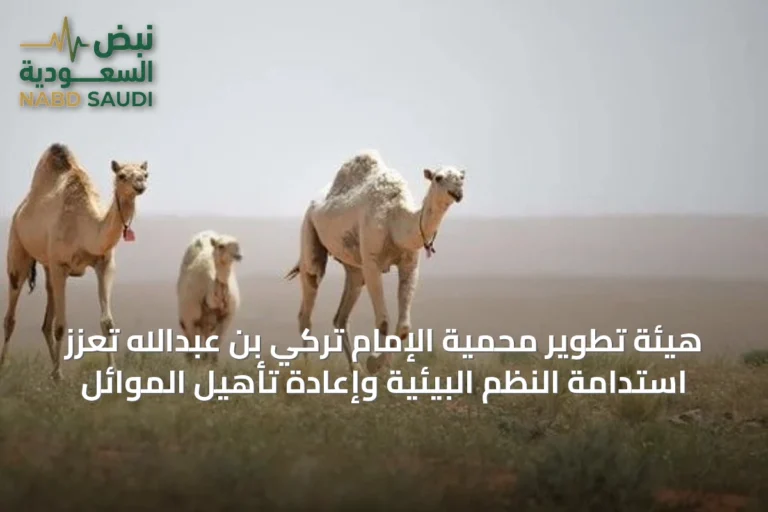 هيئة تطوير محمية الإمام تركي بن عبدالله تعزز استدامة النظم البيئية وإعادة تأهيل الموائل