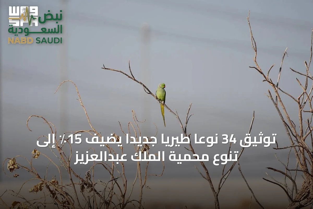 توثيق 34 نوعًا طيريًا جديدًا يضيف 15٪ إلى تنوع محمية الملك عبدالعزيز