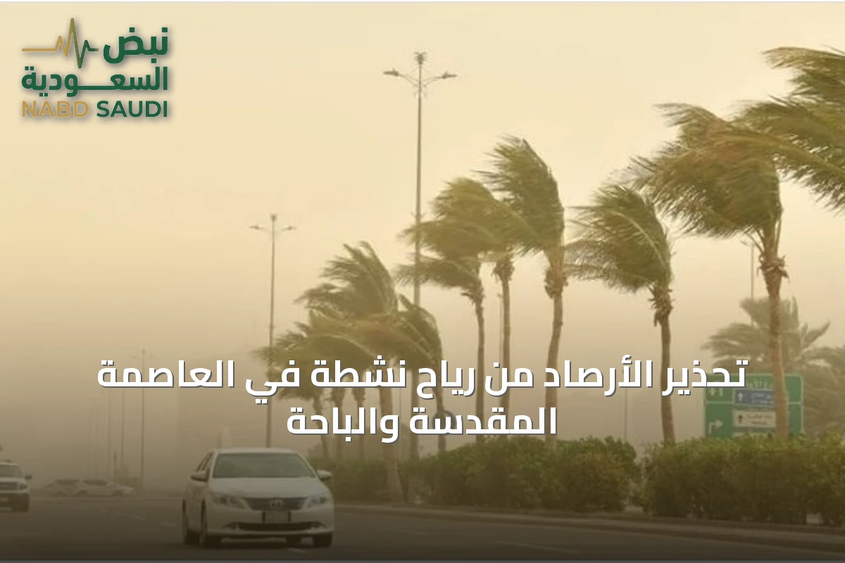 تحذير الأرصاد من رياح نشطة في العاصمة المقدسة والباحة